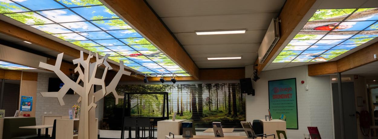 Veiligheid op school